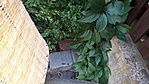 20190704_144751