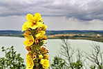 IMG_20190713_090746-01