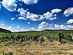 IMG_20190714_151248-01