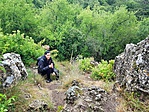 IMG-29051d9c60075e8f09725d042df7430b-V-01