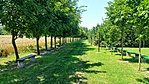 Mária-szobor