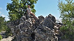 IMG_20190715_111021