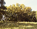 2019-08-10 09.01.56 HDR-1
