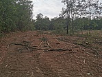 IMG_20190825_160750 1