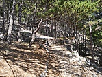 IMG_20190727_151122