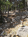 IMG_20190727_152920