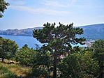 IMG_20190727_154007