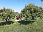 20190816_100537