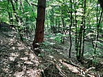 20190816_145914
