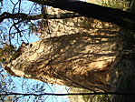 DSC01754