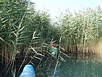 Image00001