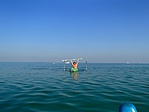 Image00005