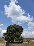 2019-08-03 12.19.05R