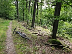 2019-08-18 10.55.30R