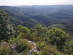 IMG_20190816_084309