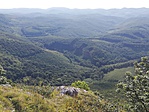 IMG_20190816_084410