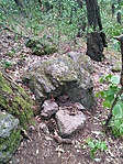 IMG_20190822_165330