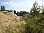 Környezet