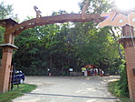 DSC04960