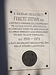 Göllei séta (Fekete István emlékére)-1