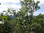 20190818_120032