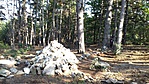 20190731_173050