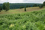 _DSC8990