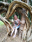 IMG_20190803_133742