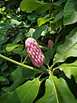 IMG_20190803_140347
