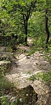 20190824_122532