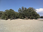 IMG_20190829_161049
