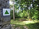 gctubk-DSC05447
