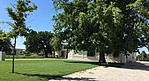 IMG_2527