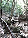 20190803_150424
