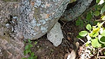 20190730_124656