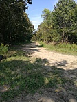 GCgifa_20190826_104715
