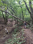 IMG_20190805_162216