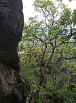 IMG_20190806_112256
