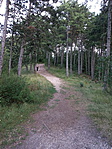 IMG_20190807_151521