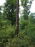 IMG_20190807_154519