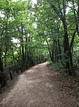 IMG_20190807_162836