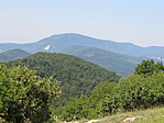 IMG_8291