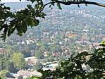IMG_8339