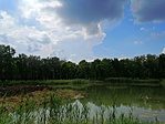 IMG_20190618_141933