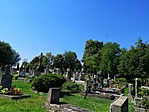 IMG_20190810_140936