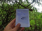 IMG_20190813_184053
