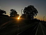 IMG_20190814_193123