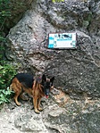 IMG_20190806_111436