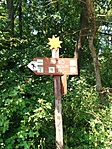 IMG_20190827_124038