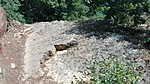 IMG_20190814_151809